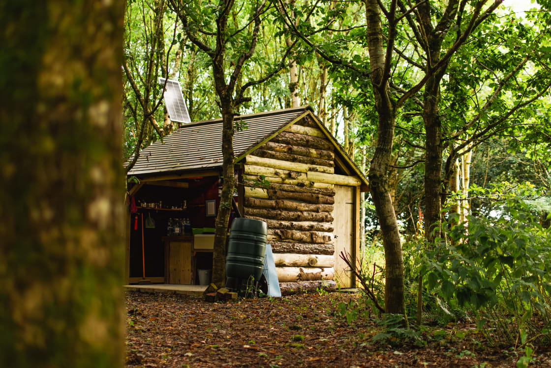 The rustic kitchen cabin nestled in the woodland