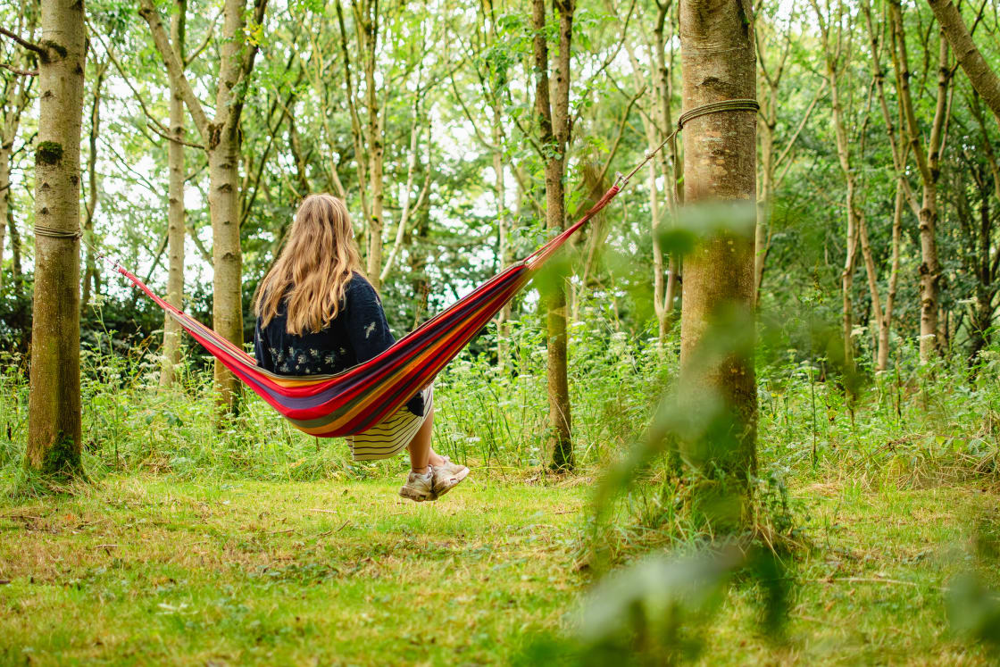 Enjoying the lush green surroundings of the camp area on the provided hammock