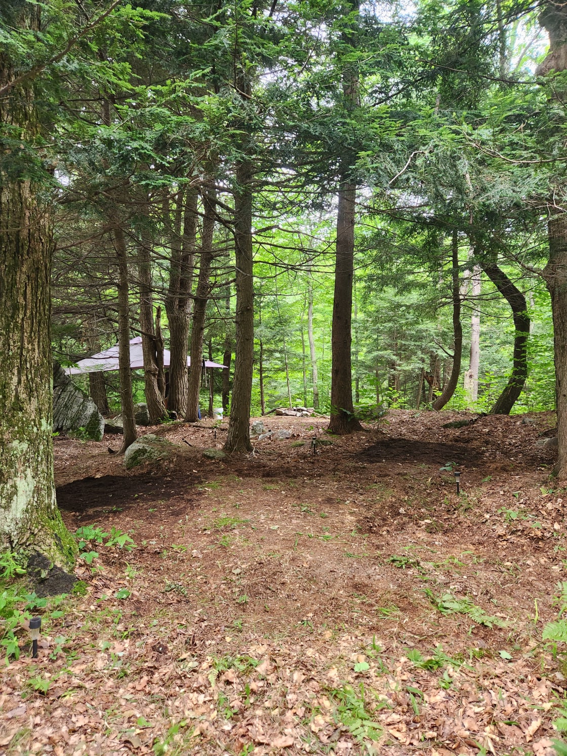 Forest & Farm Retreats at Wildwood Hills