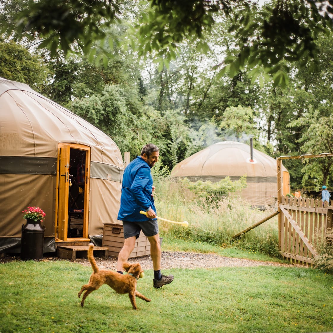 Dog friendly glamping in Buttercup Yurt