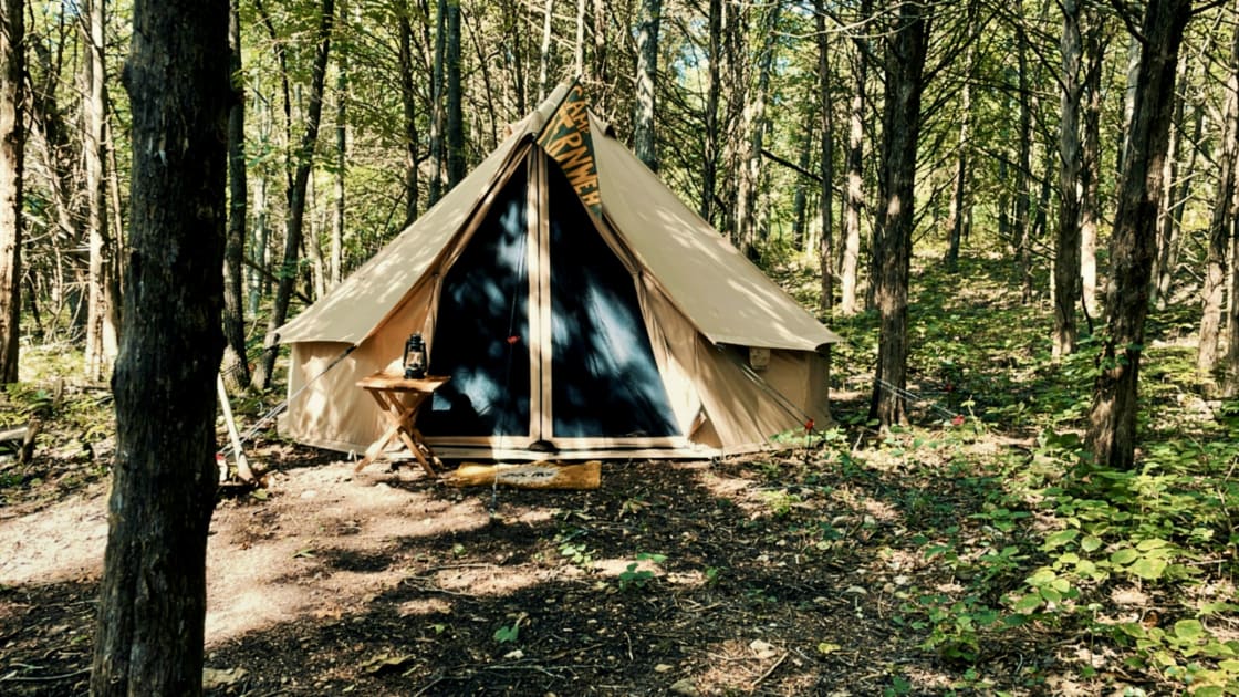 Your shelter for the evening--a 13' canvas bell tent under the canopy of hickory trees! 
