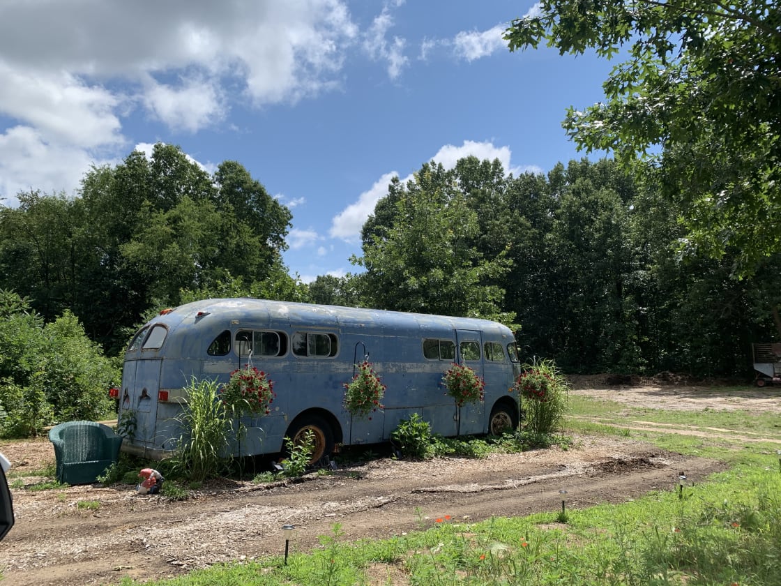 Blooming Bus Farms