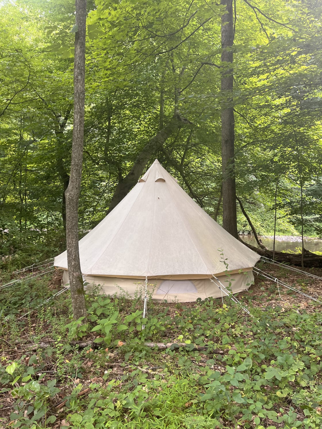 Luxury Tents in Chester County