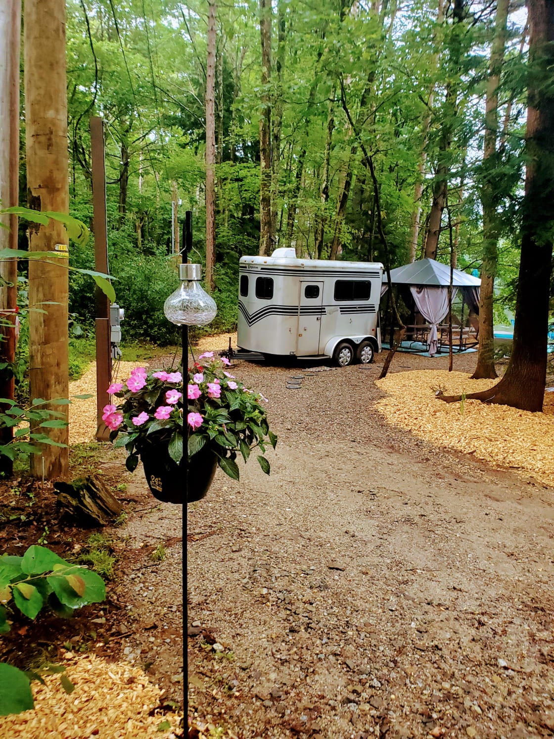 Waterfront Woodsy Glamping