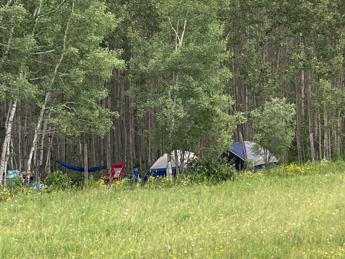 Tent Camping getaway 