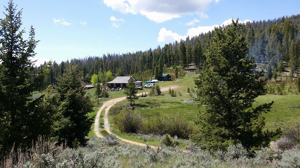 Main cabin and road in from forest service road 