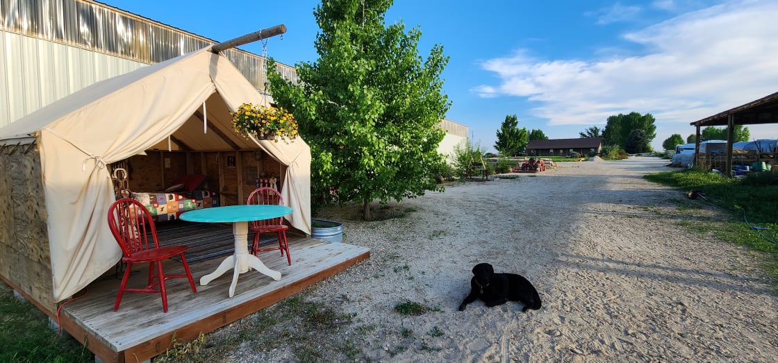 Sweet Pepper Ranch's Glamping Tent