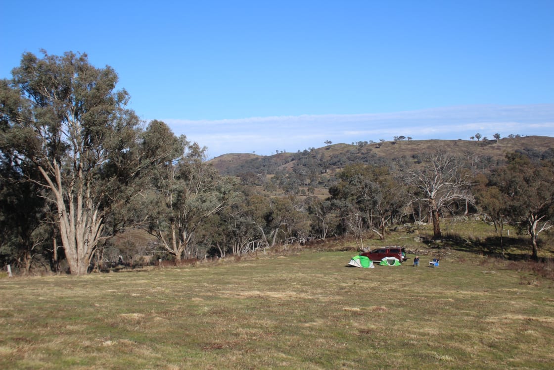 Looking west towards the Wambuul- Macquarie River across Wedgetail Campsite.
You can take a challenging, steep westerly trail to the river and search for koalas, watch wallabies graze and admire the views.  