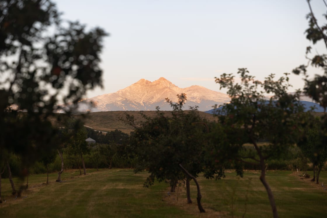 View of the Rocky Mountains from the site through the orchard. 