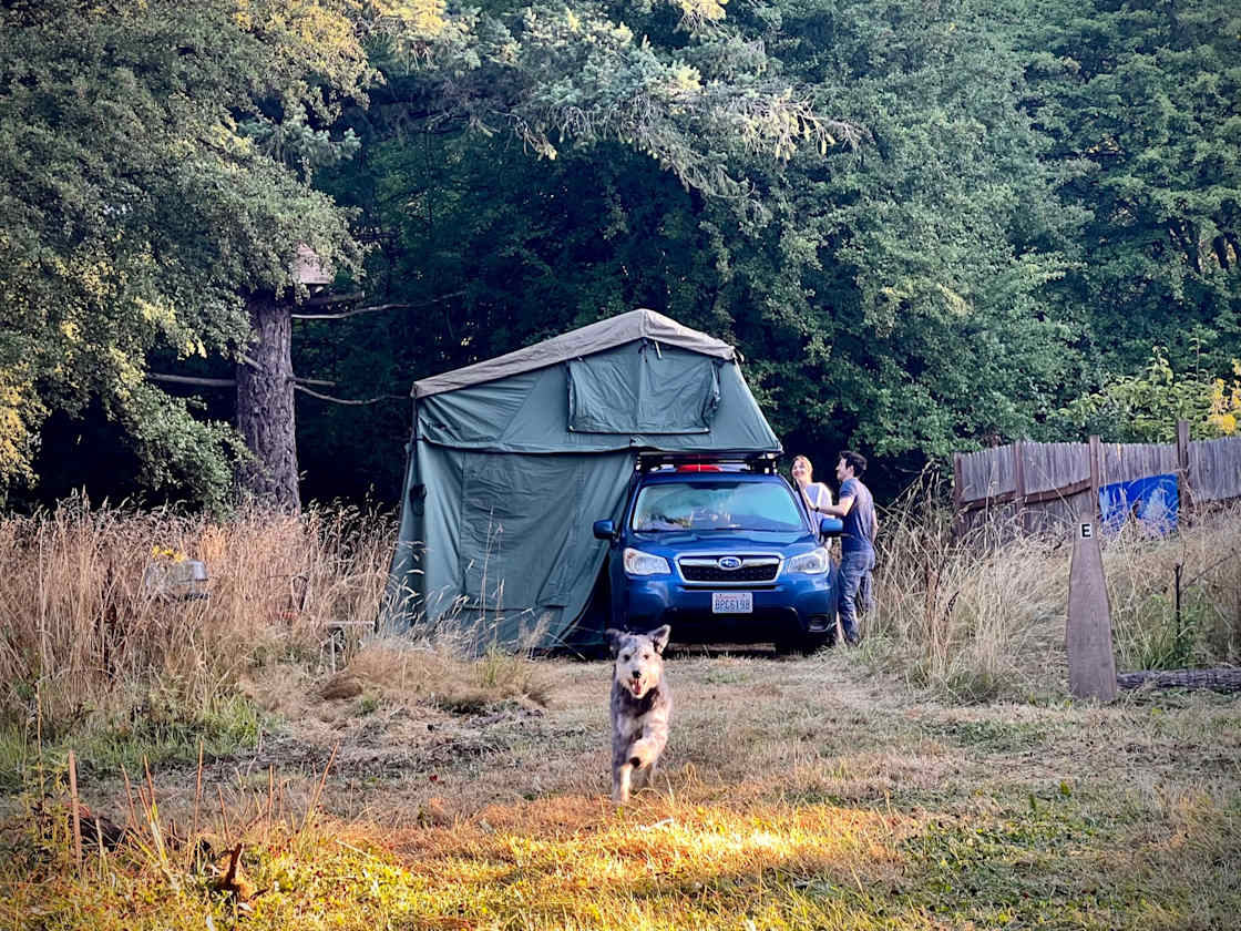 This is in our East Camp Site.