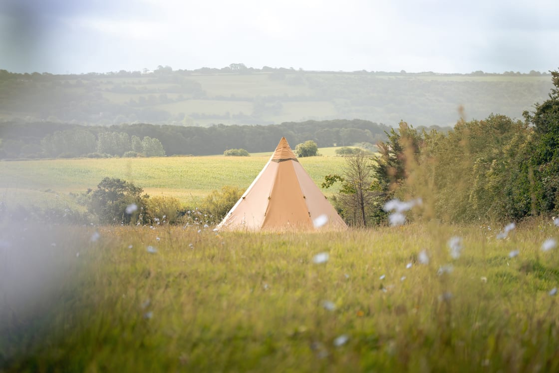 With options for camping or for hire of the bell tents on site, there were plenty of choices for a stay at Haddon Copse.