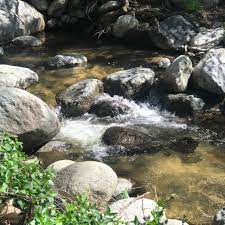 local creek