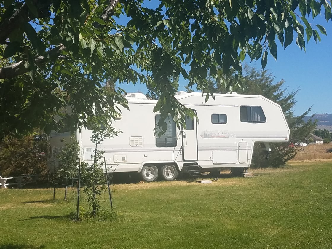 RV set by hedge backdrop. for privacy.