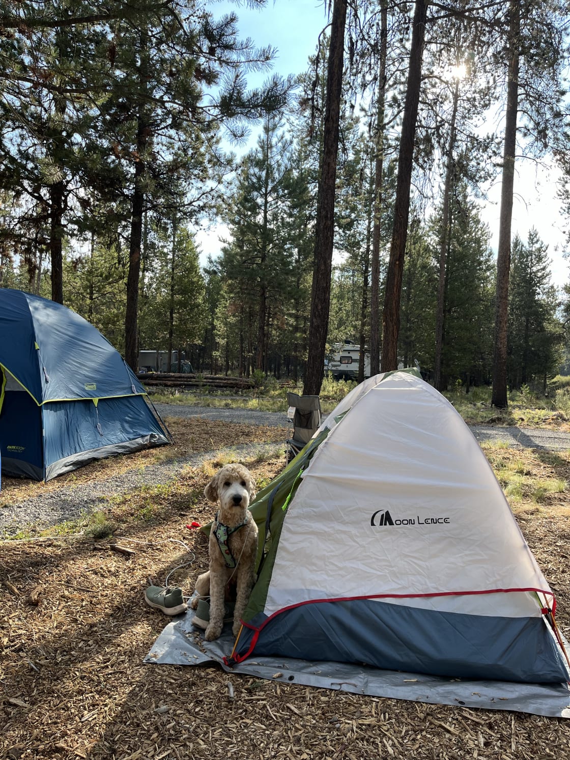 Pollack Pines Campground