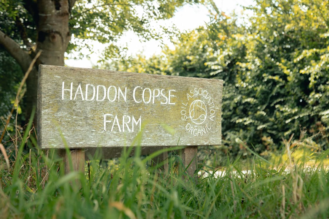 Located in a quiet Dorset village, Haddon Copse Farm is the perfect place to unwind and relax.