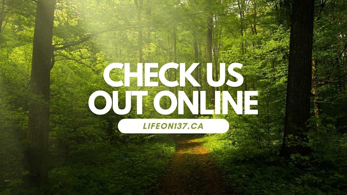 Private Camping on 137 Acres