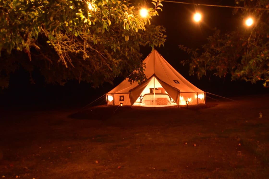 Glamping in the orchard