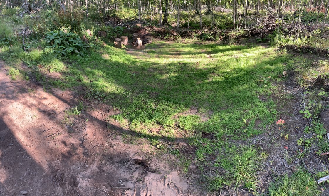 Panoramic of the site. Approximately 30 feet deep and 25 feet wide.