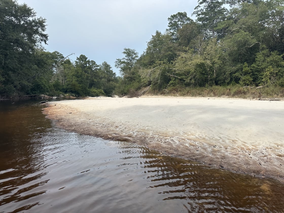 River Life Camping in Alabama