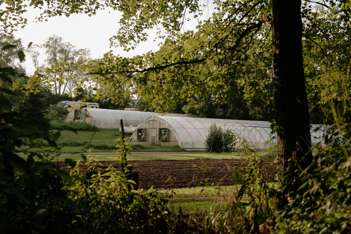 Amazing greenhouses and fields. You can certainly tell that Chris, the host, works so hard to make them flourish.