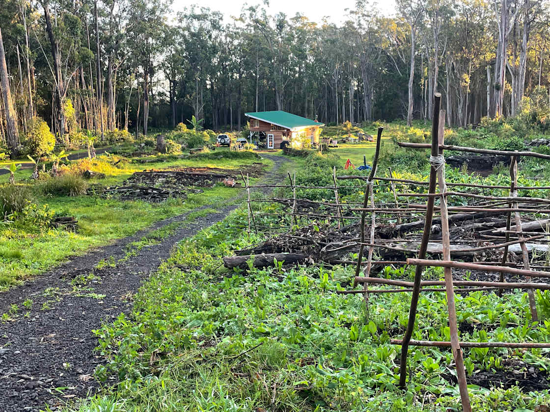 Berry Cool Farm