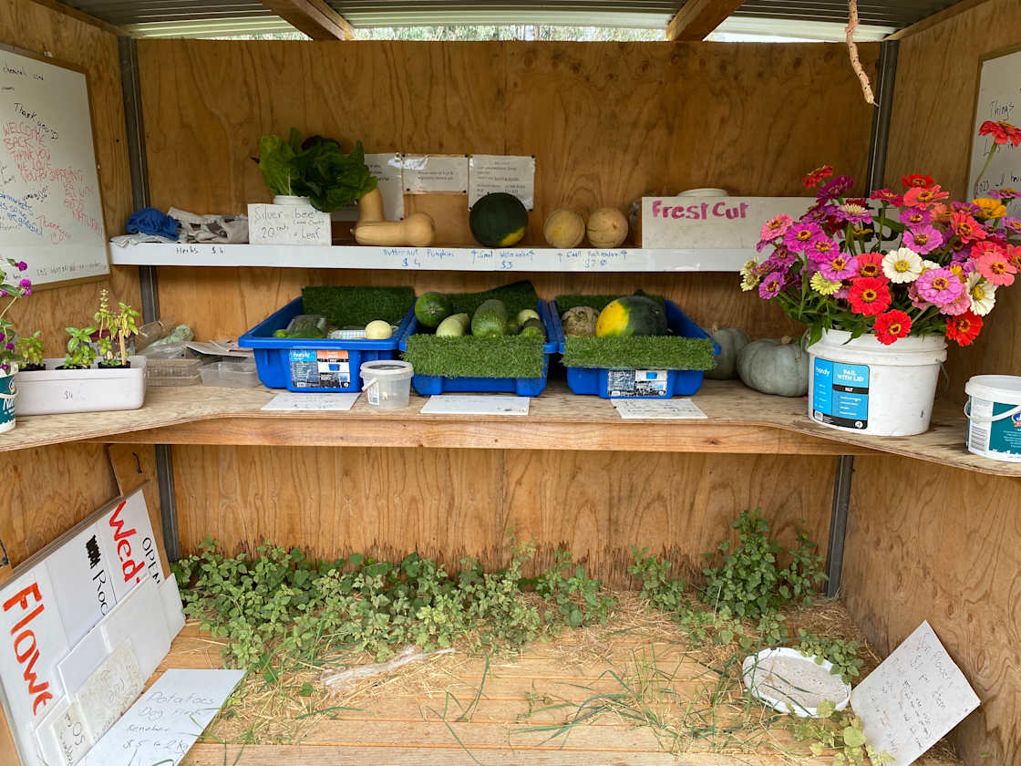 Fruit eggs and veg for sale from the site. 