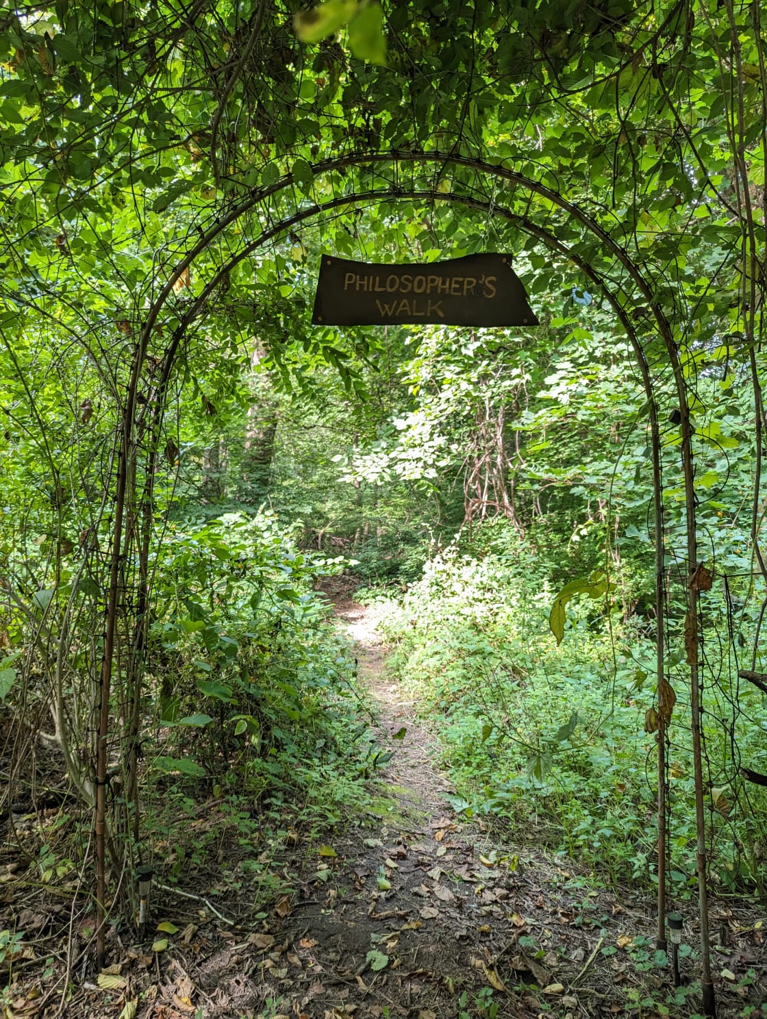 One entrance to our forest trail loop.