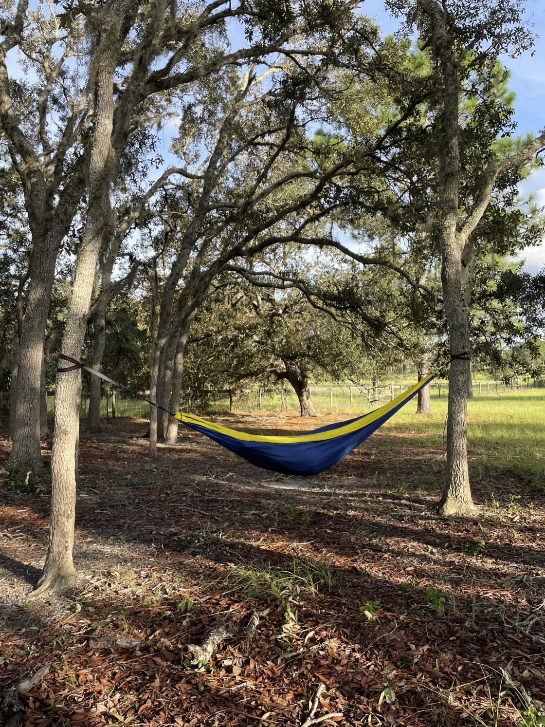 The Dune Sunflower campsite has a lot of trees which are great for hanging up hammocks!
