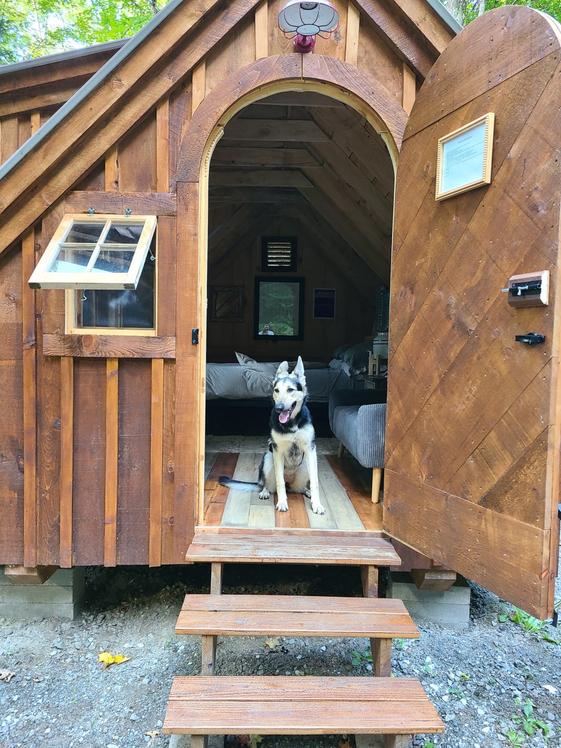 Our Dog in the Cabin!