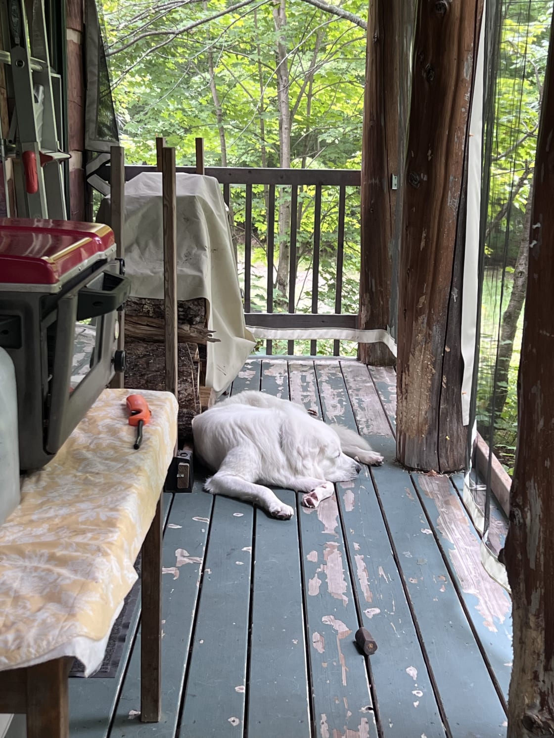 Peaceful Off-Grid Cabin Retreat
