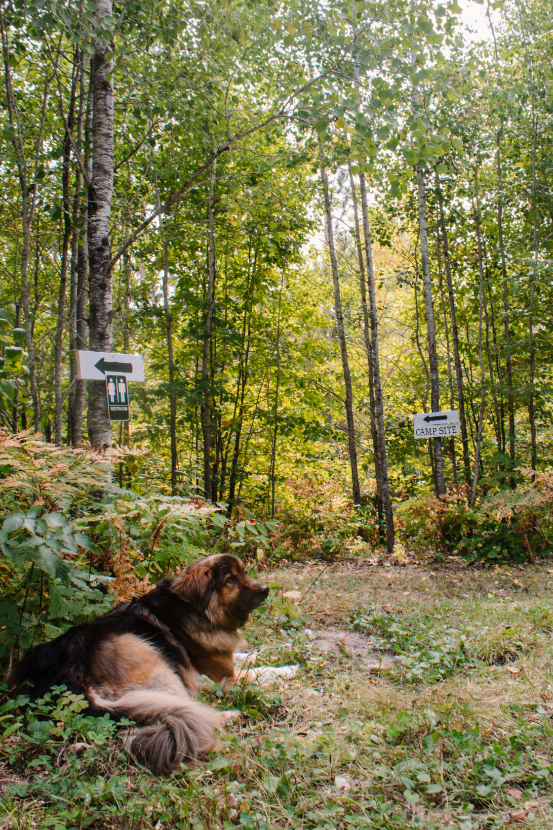 The property is clearly marked with signs showing you where to find the outhouse, campsite, and parking area. 