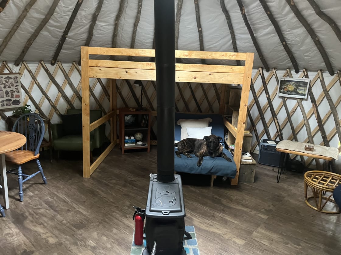 Private Yurt - Coastal Maine/Acadia