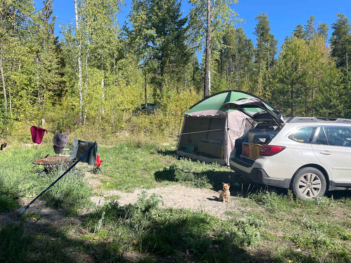 Watstein's Wilderness