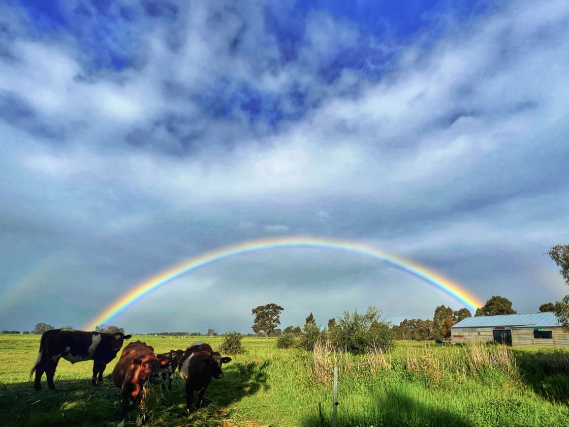 The rainbows on Eden Farm are truly beautiful! 