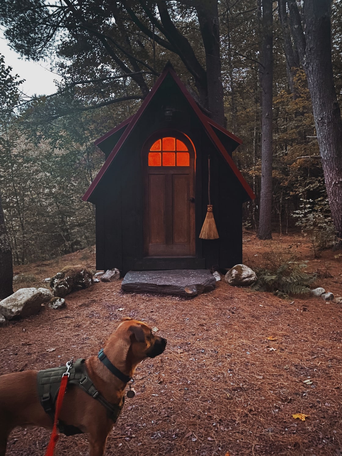 Cozy Cabin in the Fall that welcomes pups is a 10/10 in our book