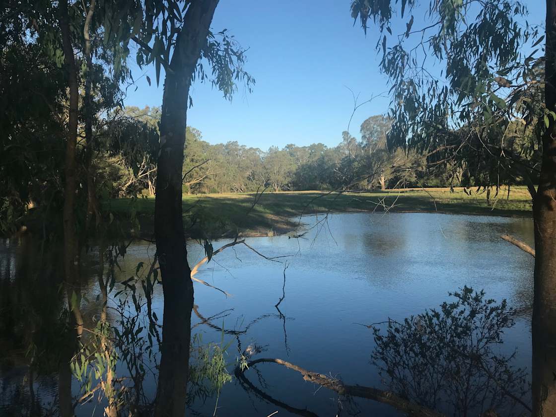 Billabong Flats Farm