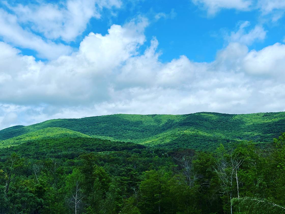 Piebald Mountain
