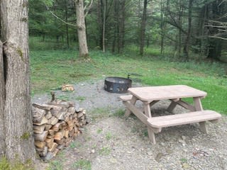 Firewood, firepit & picnic table