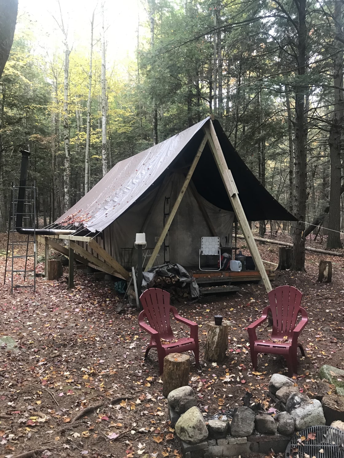 Camp in the Pines