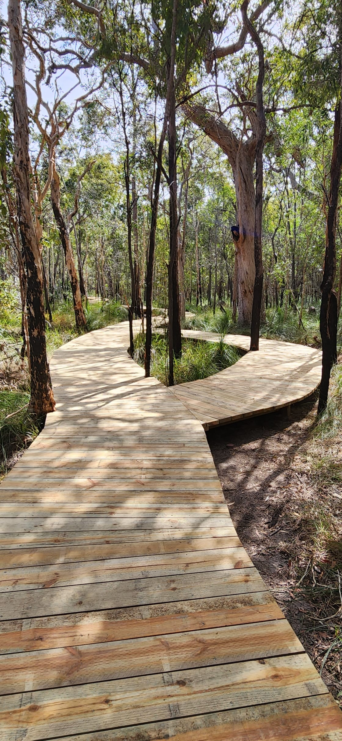 The newest attraction on the Discovery Coast! 386.6 m long boardwalk, complimentary access for our campers, wheelchair accessible