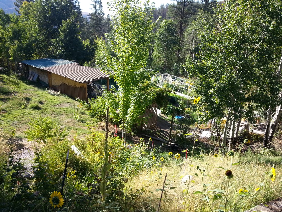 Our organic garden and home space.