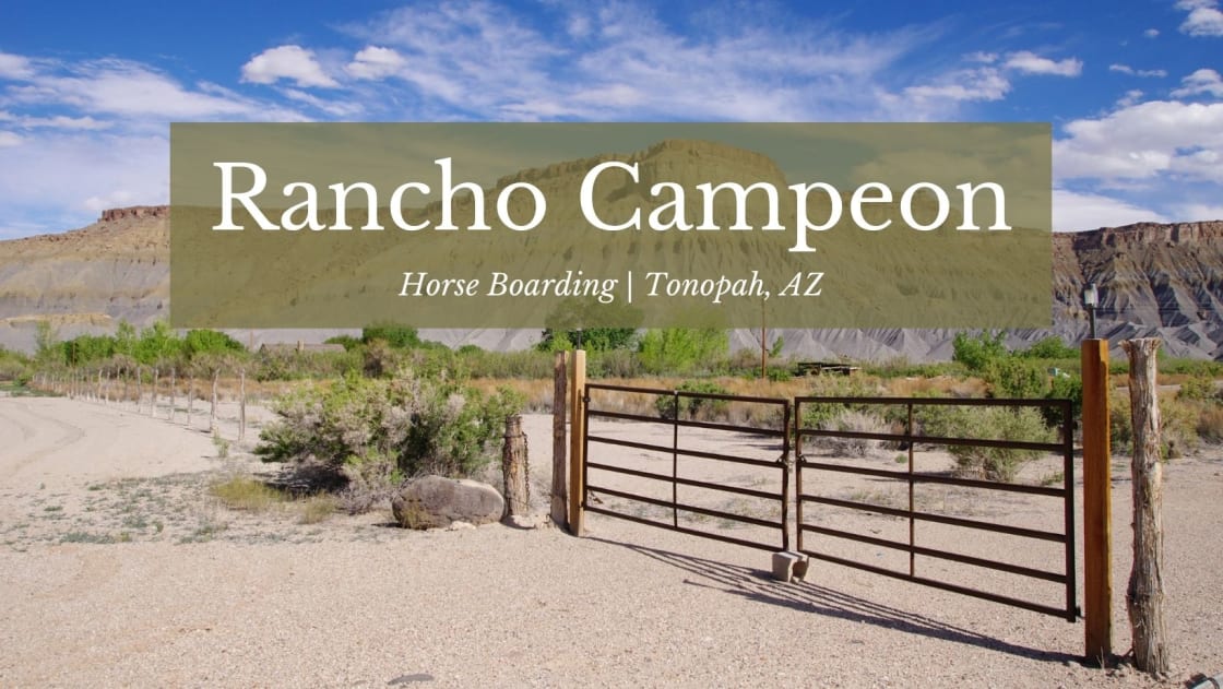 Rancho Campeón
