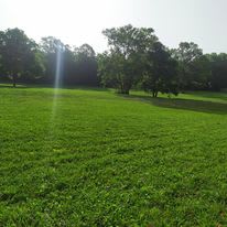 Briarstone Campground