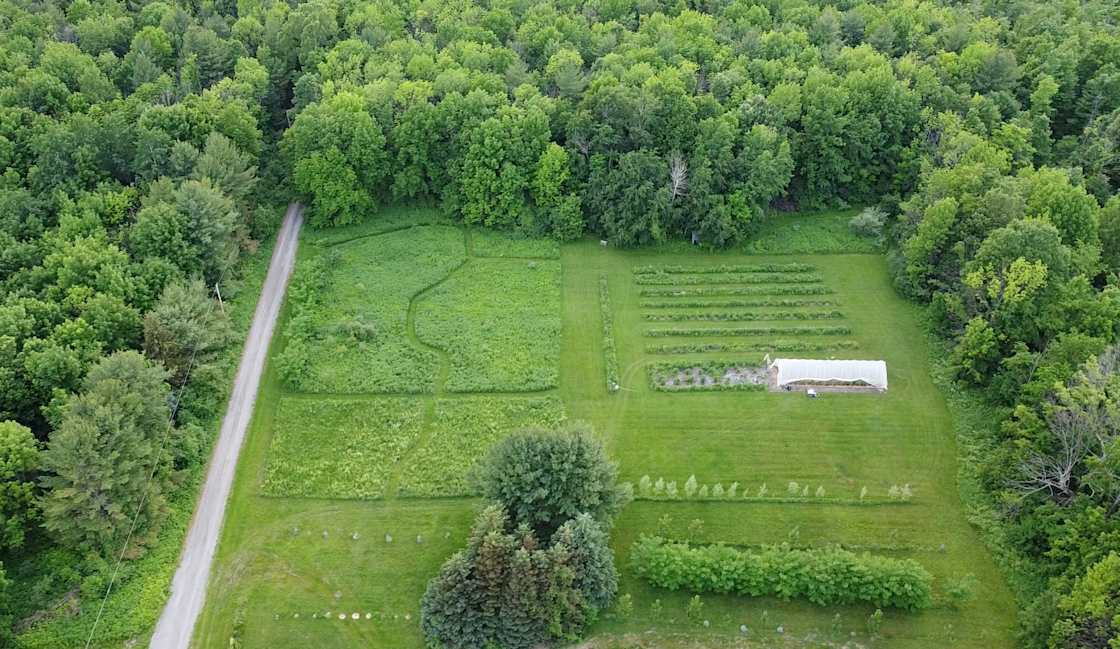 Meadow and Garden View