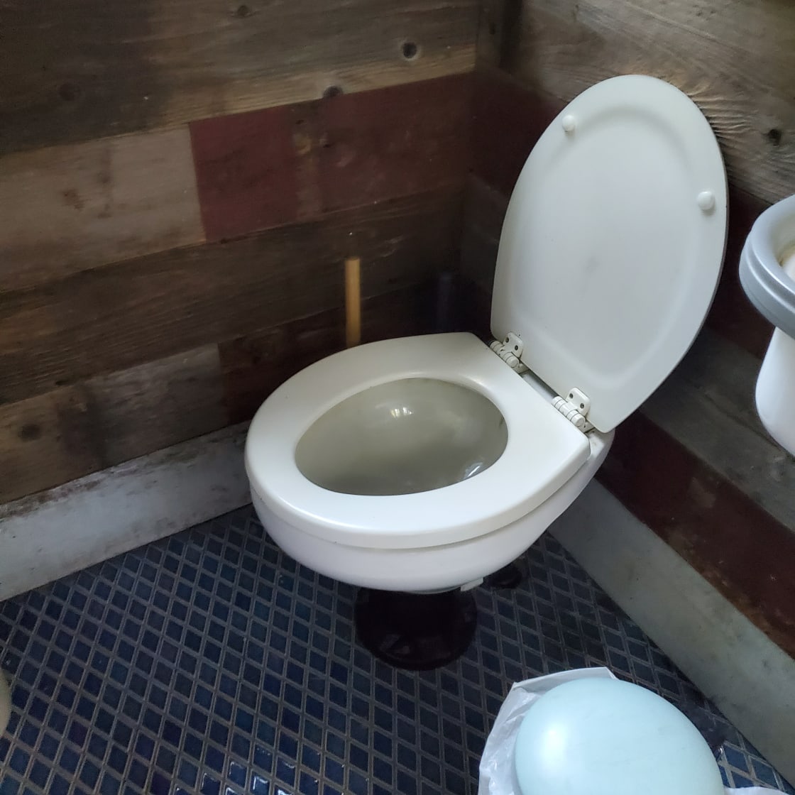 Nice clean toilet