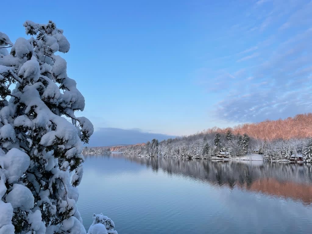 Winter Wonderland of Palmerston Lake. 
