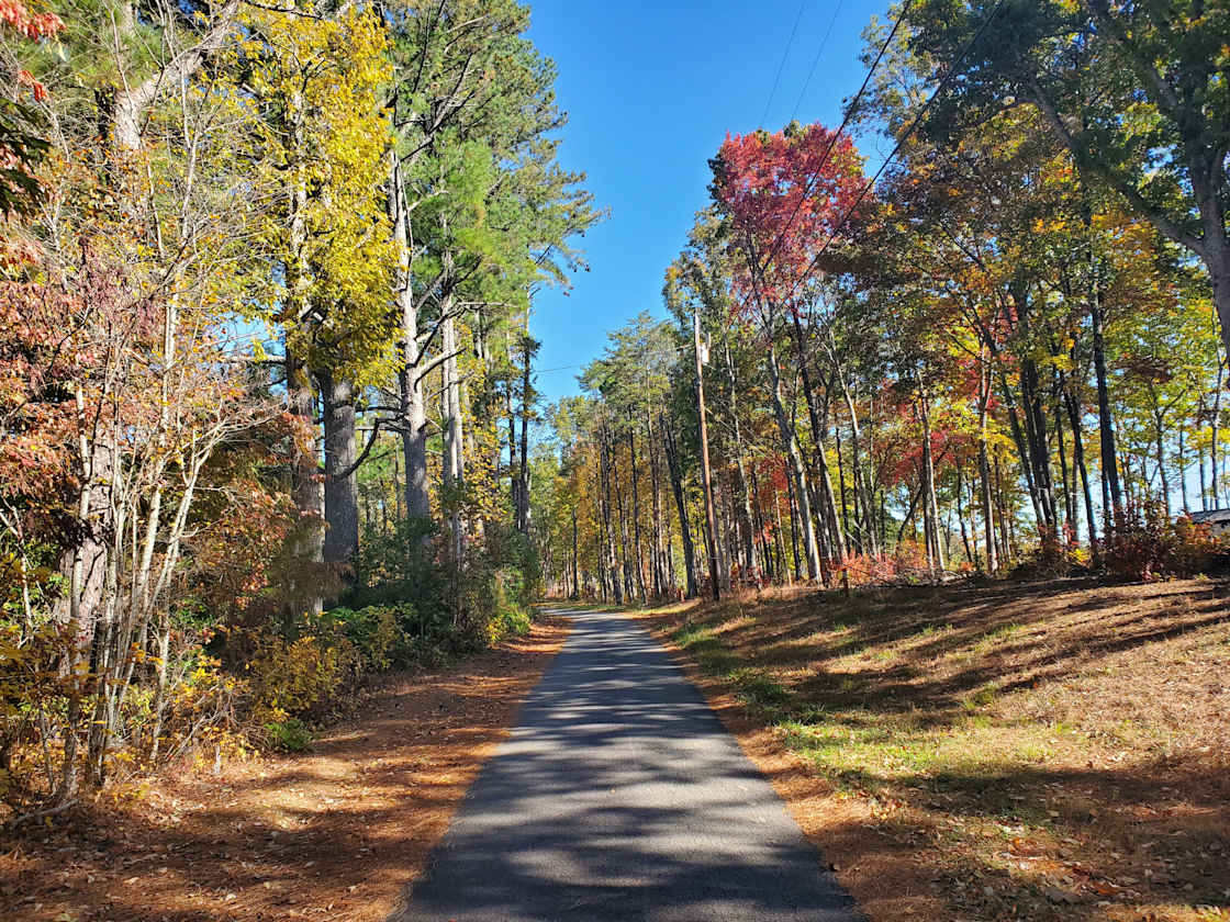 White Oak Reserve