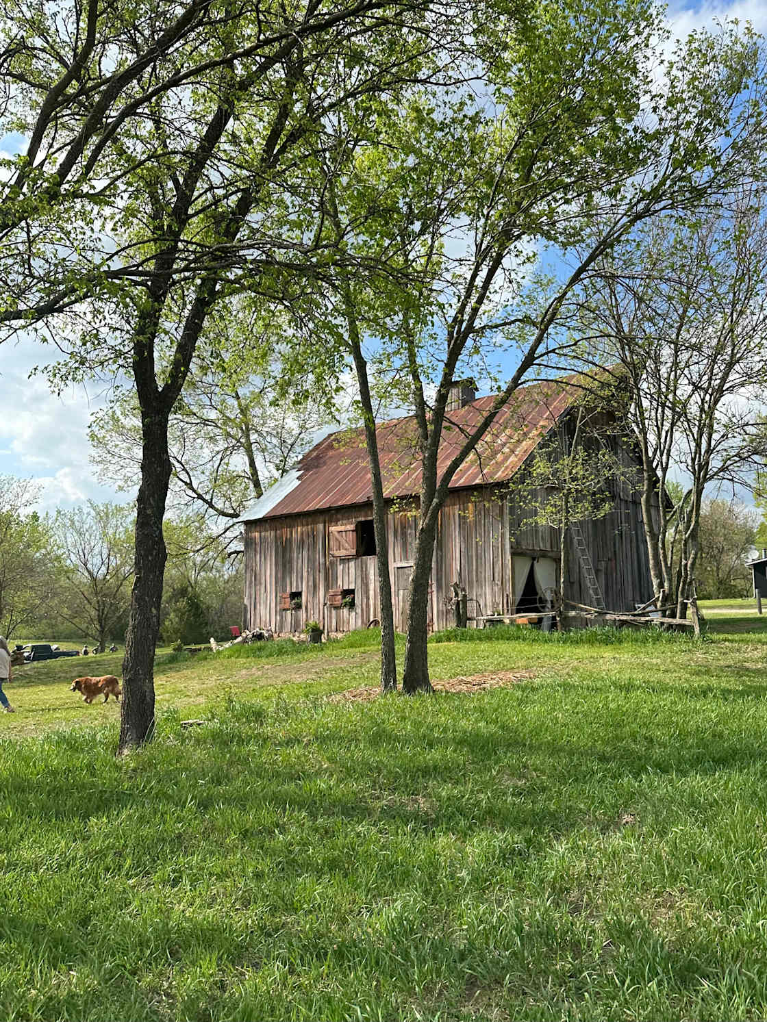 White Owl Barn