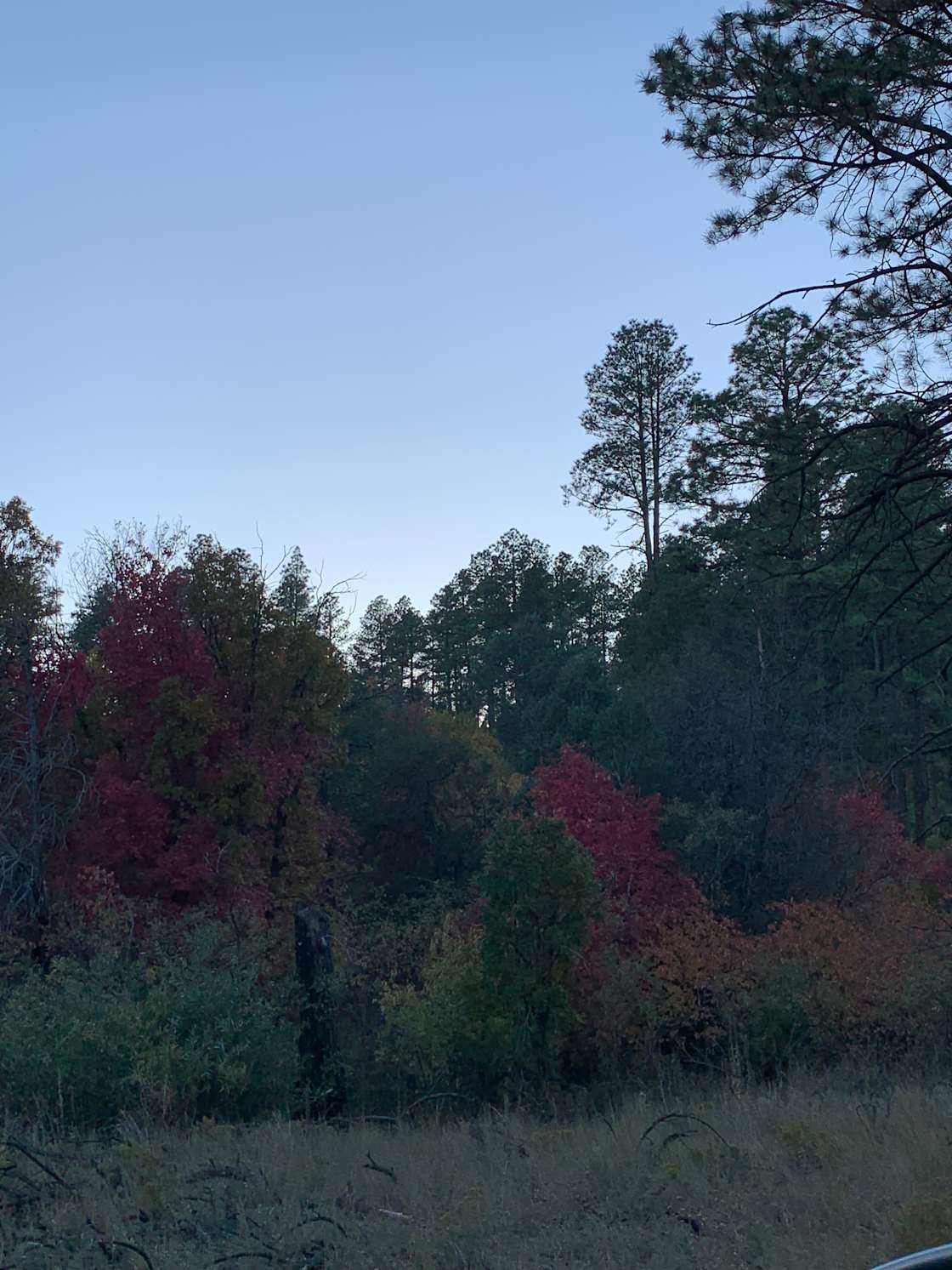 Padilla Ranch