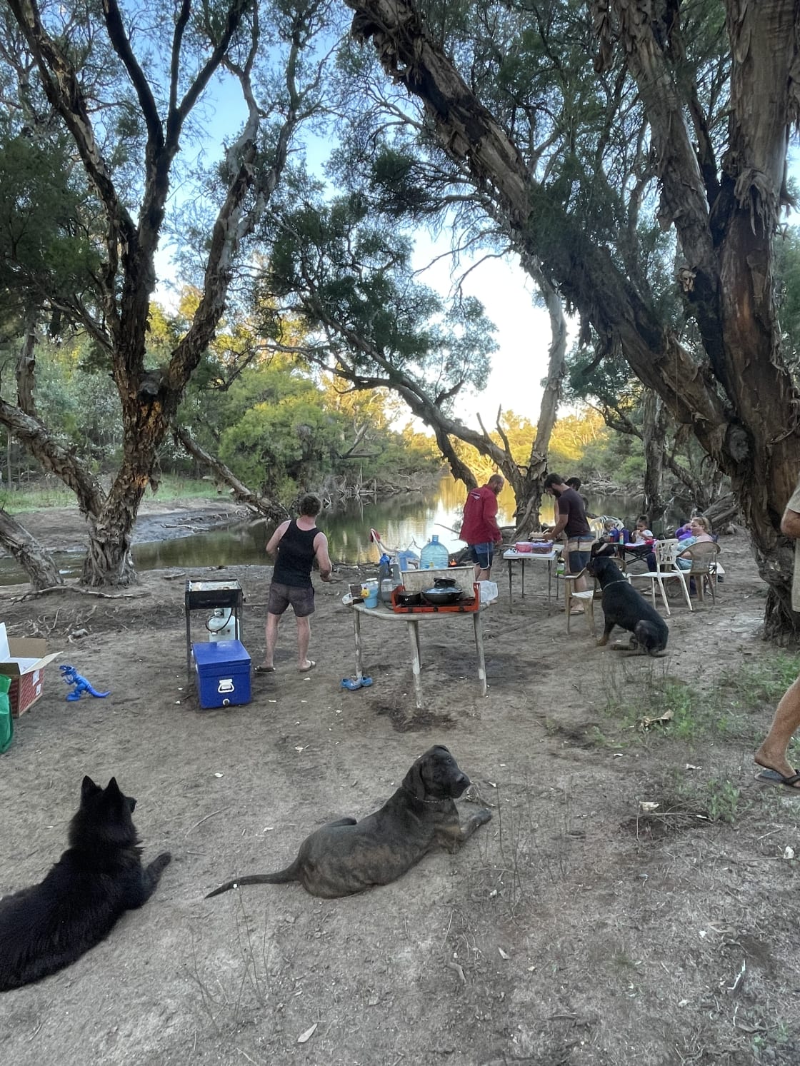 Murray Valley Camping